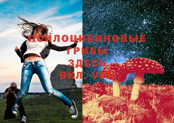 кокс Алзамай