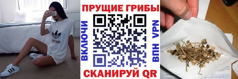 Псилоцибиновые грибы Magic Shrooms  ссылка на мегу ONION  Нефтекумск 